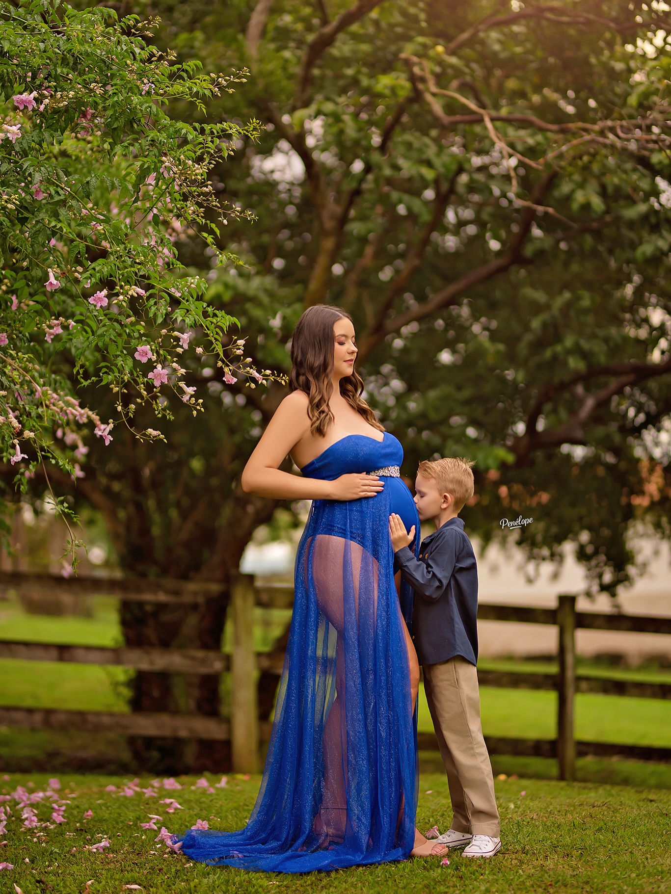 Gestante Azul Árvore Filho