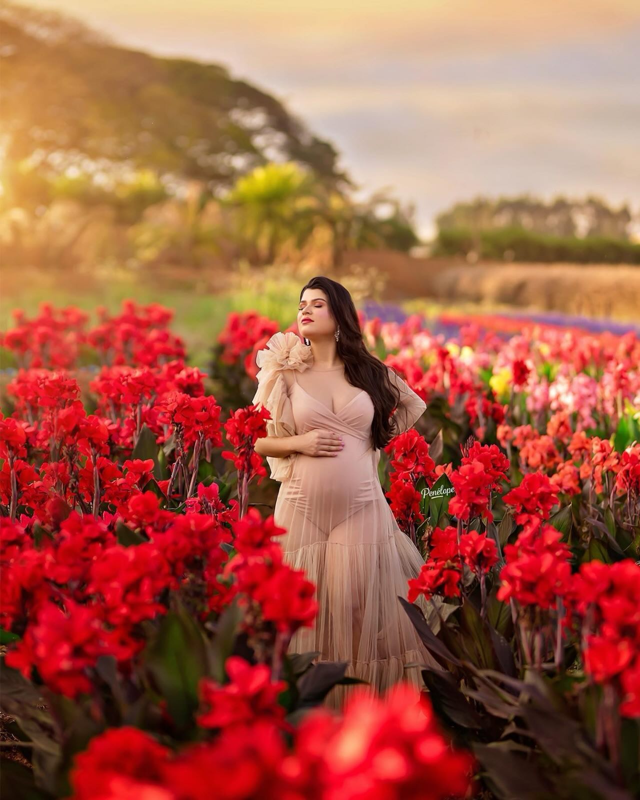 Semana da Fotografia - Gestante Champagne Flores Vermelhas