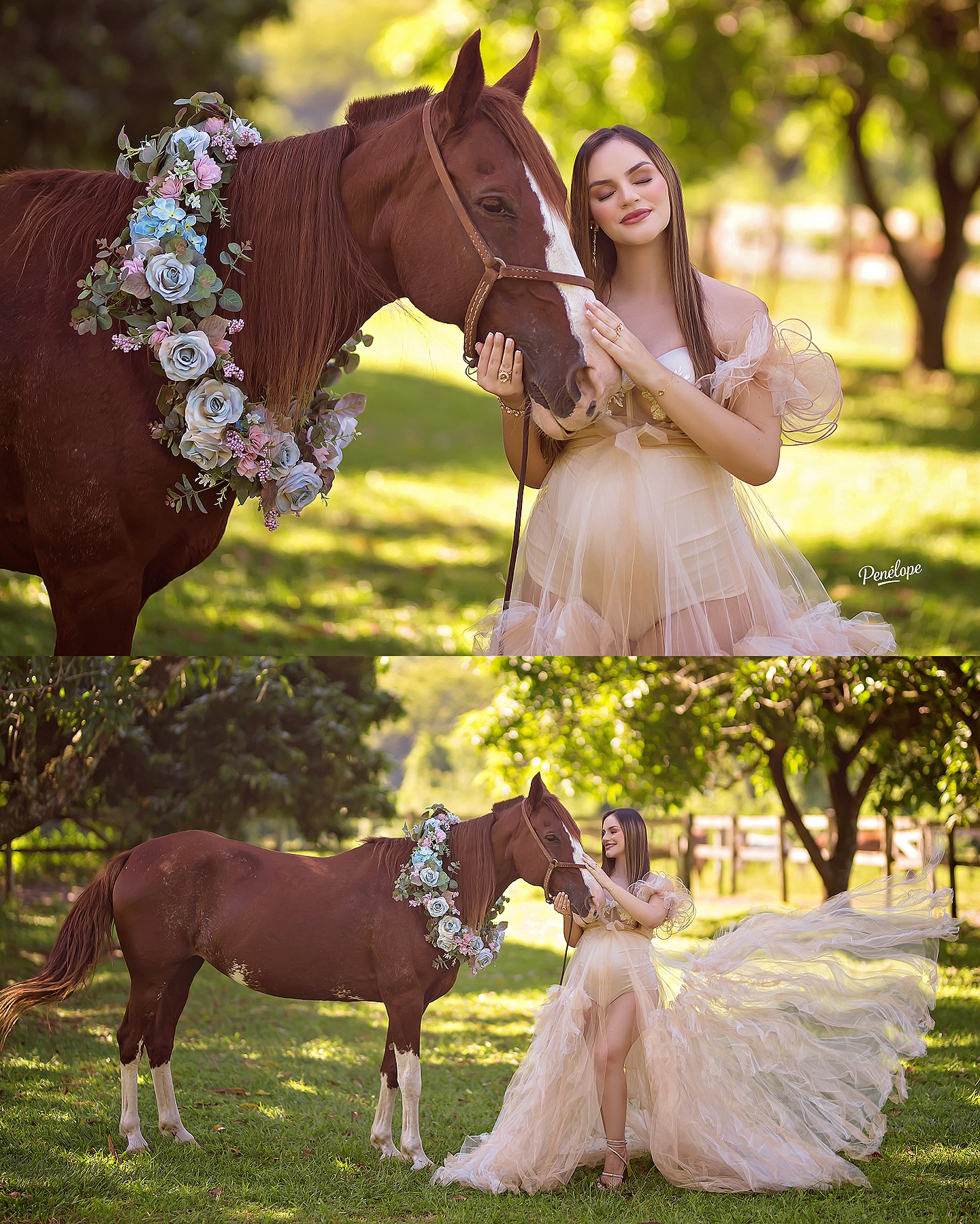 Gestante Champagne com Cavalo