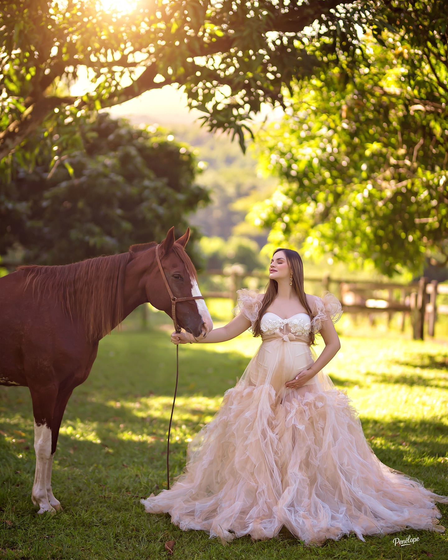 Gestante Champagne com Cavalo na Fazenda