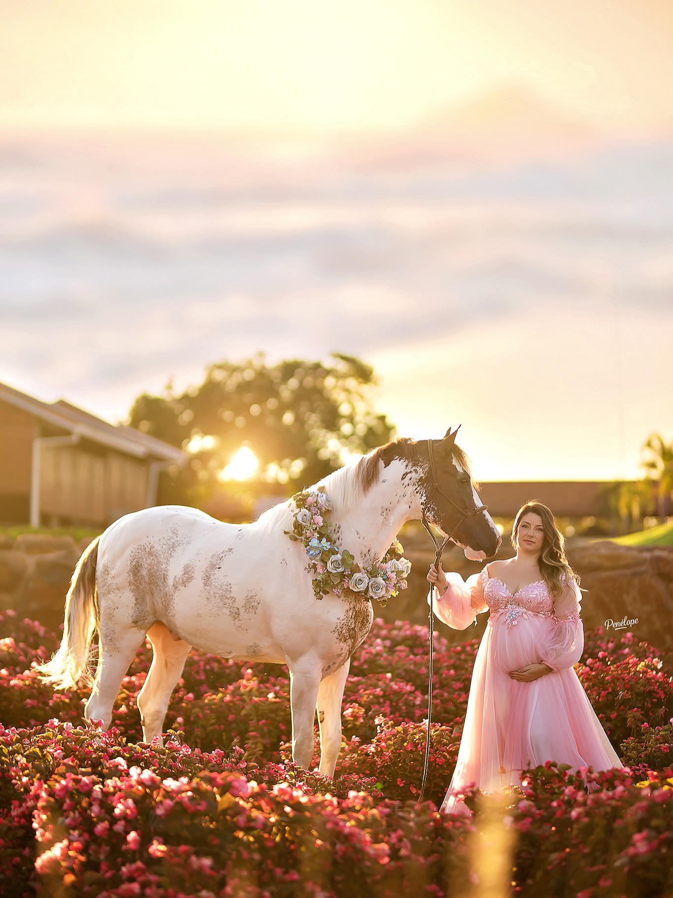 Gestante Rosa com Cavalo no Campo de Flores