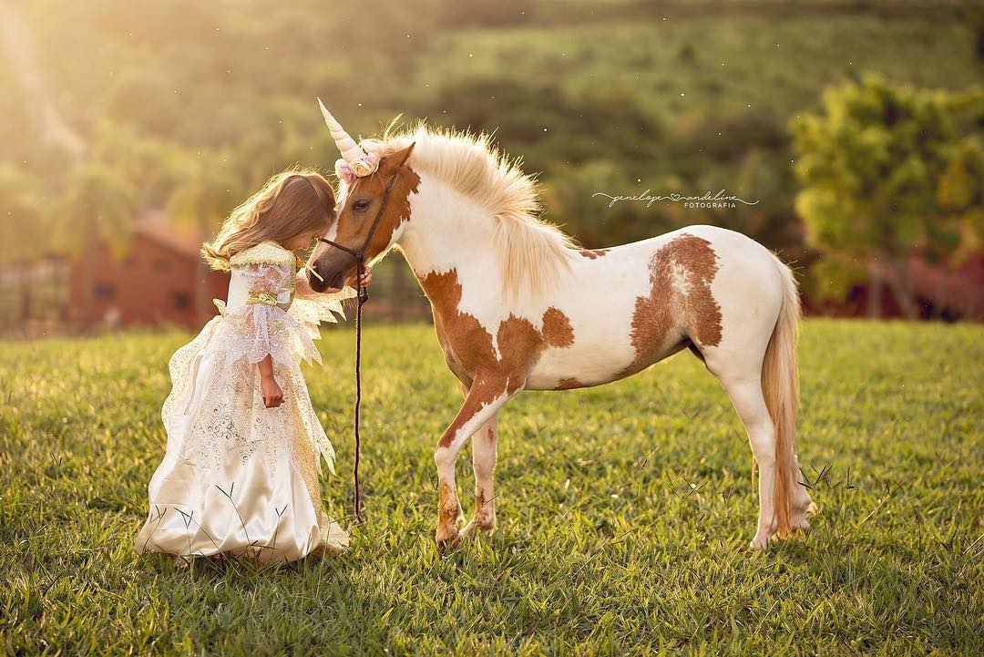 Editorial Princesa com Unicórnio no Campo